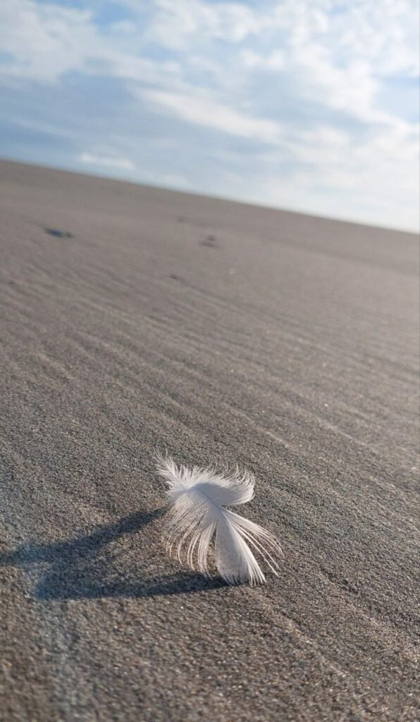 Kosten psychologische Beratung