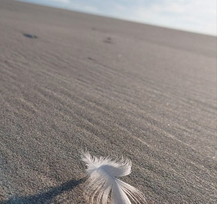 Kosten psychologische Beratung